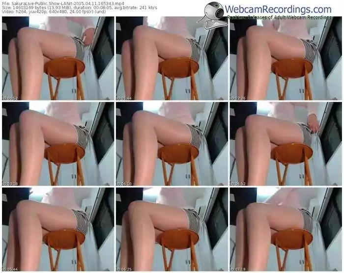 sakuralivejp-lanit-public-show-04_11_2015-16_53_43