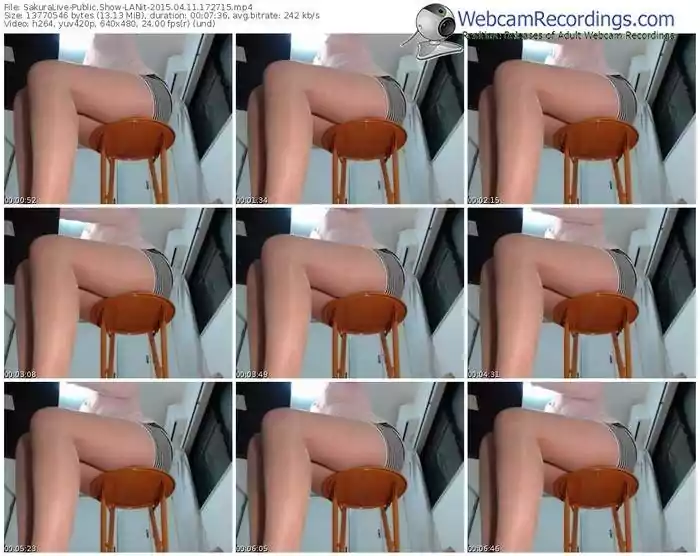 sakuralivejp-lanit-public-show-04_11_2015-17_27_15