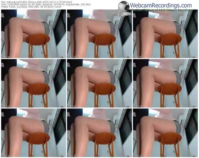 sakuralivejp-lanit-public-show-04_11_2015-17_27_40