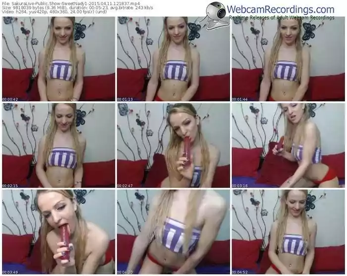 sakuralivejp-sweetnady1-public-show-04_11_2015-12_18_37