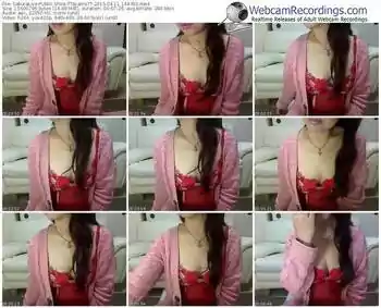 sakuralivejp-ttayamett-public-show-04_11_2015-14_43_00