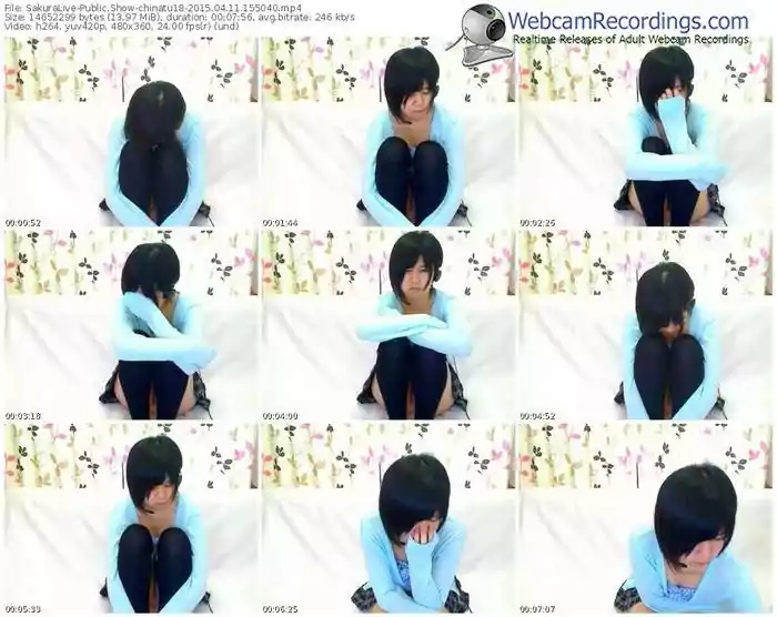 sakuralivejp-chinatu18-public-show-04_11_2015-15_50_40