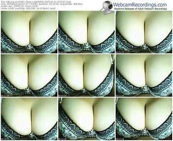 sakuralivejp-cutemaria-public-show-04_11_2015-01_52_47