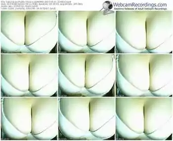 sakuralivejp-cutemaria-public-show-04_11_2015-21_49_54