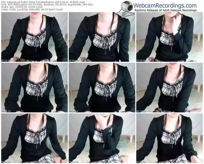 sakuralivejp-himekachannn-public-show-04_11_2015-01_39_01