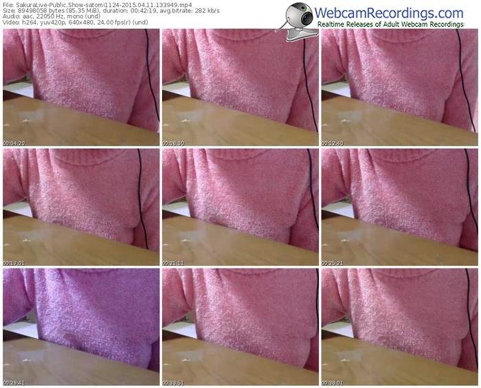 sakuralivejp-satomi1124-public-show-04_11_2015-13_39_49