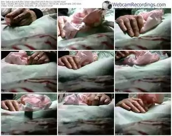 sakuralivejp-sayuri58-public-show-04_11_2015-13_13_40