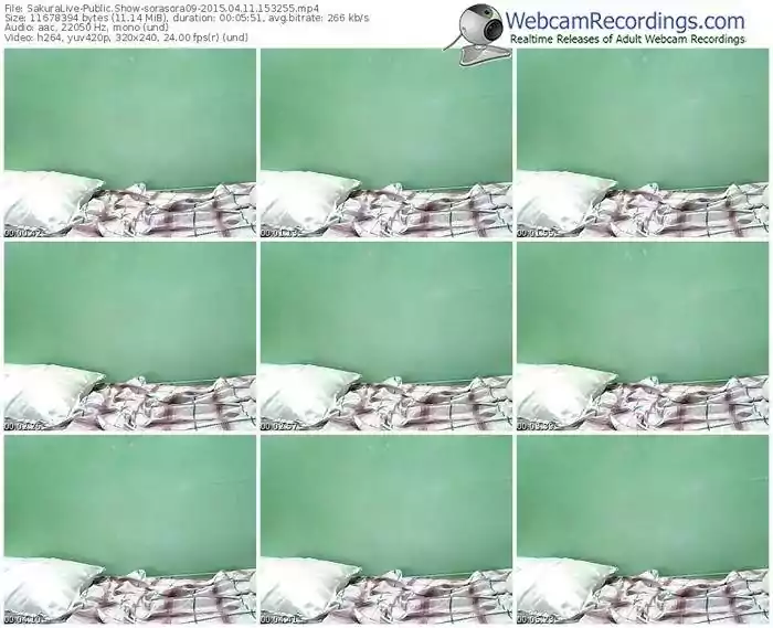 sakuralivejp-sorasora09-public-show-04_11_2015-15_32_55