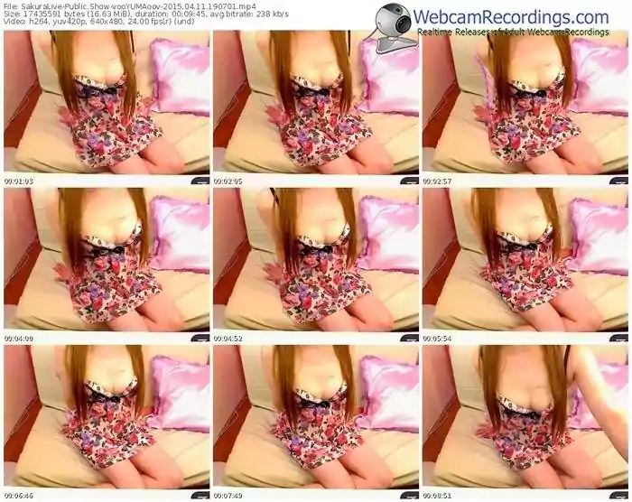 sakuralivejp-vooyumaoov-public-show-04_11_2015-19_07_01