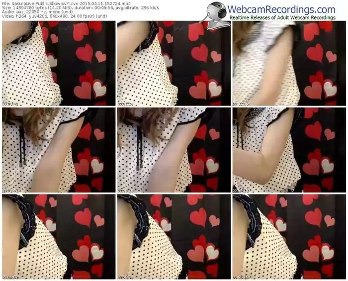 sakuralivejp-xvyuivx-public-show-04_11_2015-15_27_24