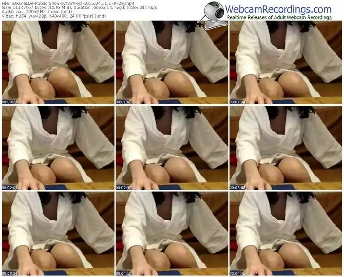 sakuralivejp-xyzayaxyz-public-show-04_11_2015-17_07_29