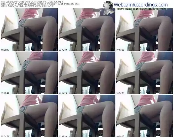 sakuralivejp-lanit-public-show-04_12_2015-15_14_06