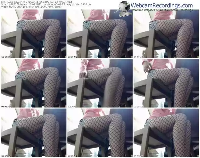 sakuralivejp-lanit-public-show-04_12_2015-17_28_48