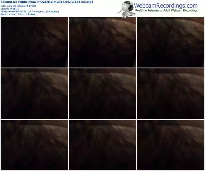 sakuralivejp-nanamix19-public-show-04_12_2015-15_21_55