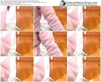 sakuralivejp-usako23-public-show-04_12_2015-05_38_49