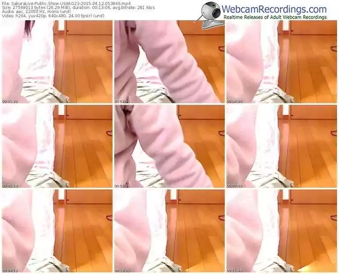 sakuralivejp-usako23-public-show-04_12_2015-05_38_49