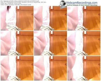 sakuralivejp-usako23-public-show-04_12_2015-05_39_03