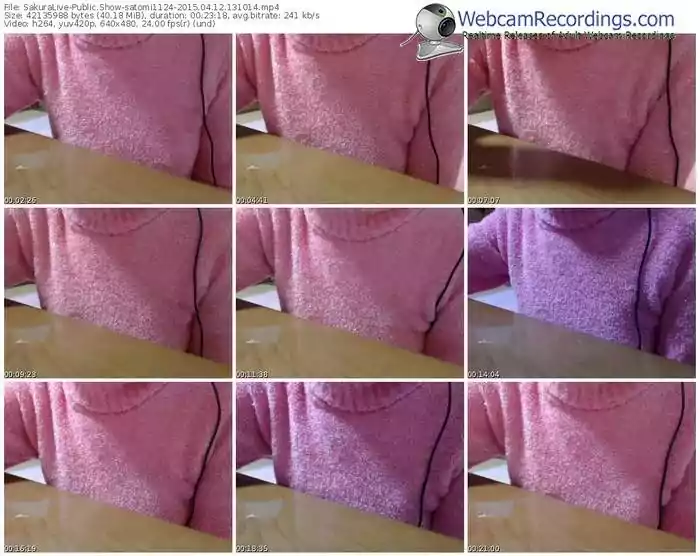 sakuralivejp-satomi1124-public-show-04_12_2015-13_10_14