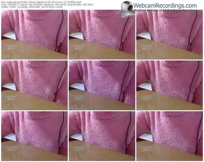 sakuralivejp-satomi1124-public-show-04_12_2015-14_59_05