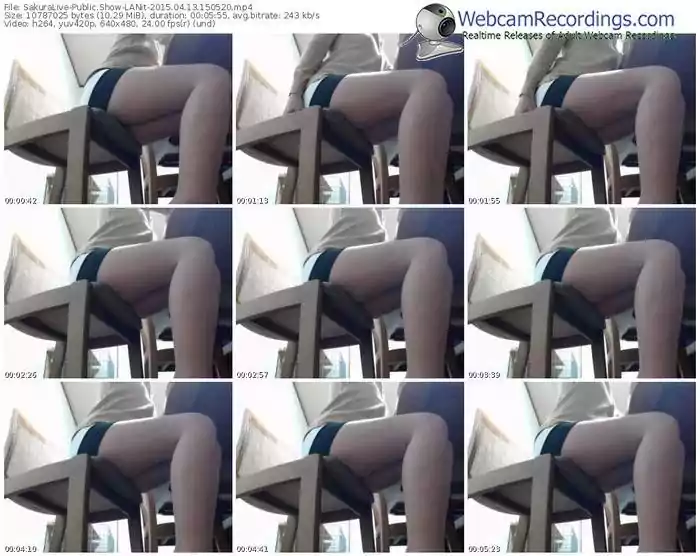 sakuralivejp-lanit-public-show-04_13_2015-15_05_20