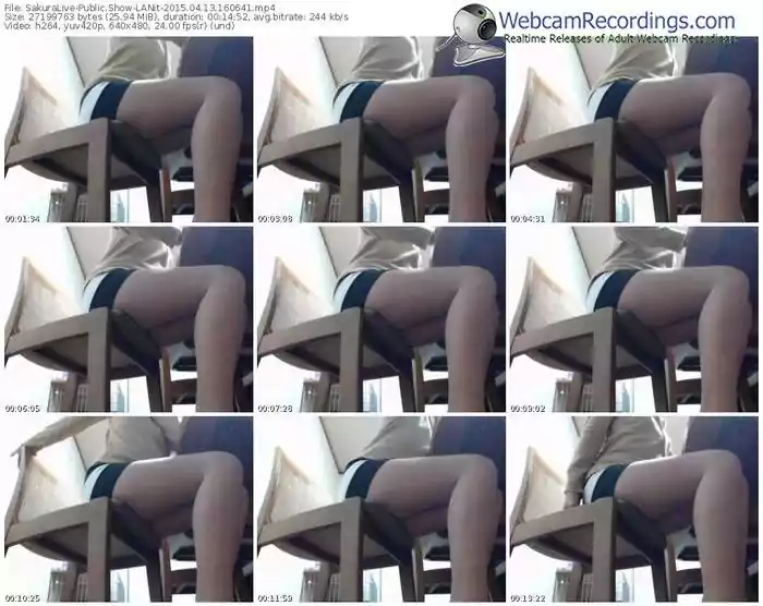 sakuralivejp-lanit-public-show-04_13_2015-16_06_41