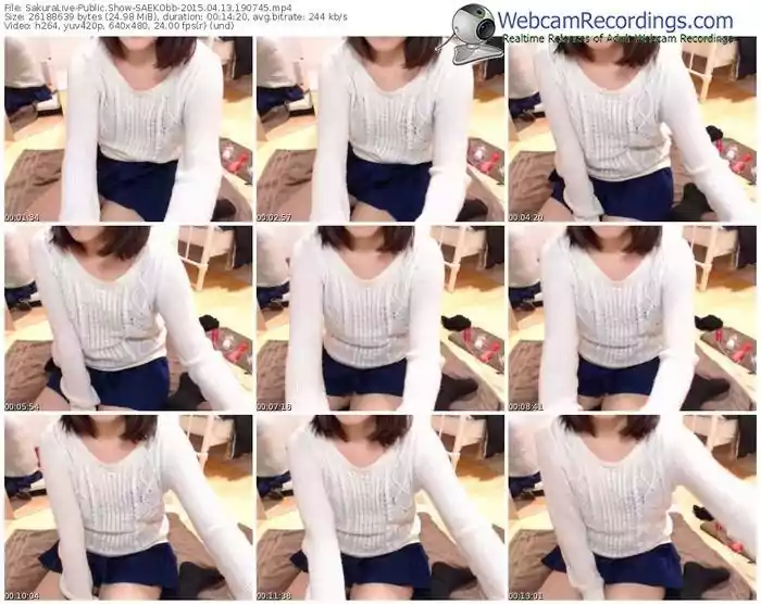 sakuralivejp-saekobb-public-show-04_13_2015-19_07_45