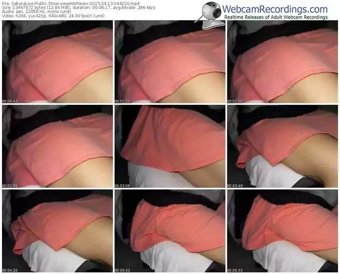 sakuralivejp-vwwmariwwv-public-show-04_13_2015-04_42_20