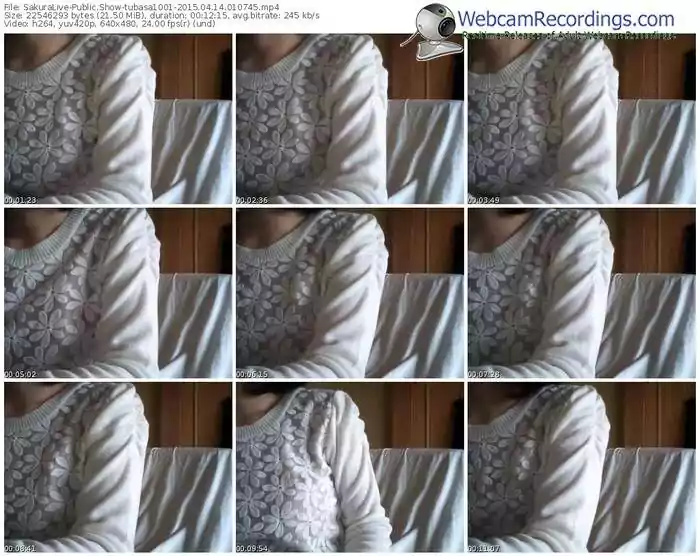 sakuralivejp-tubasa1001-public-show-04_14_2015-01_07_45