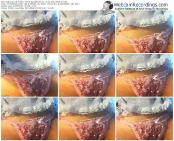 sakuralivejp-ayu86927-public-show-05_03_2015-19_48_14