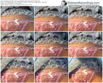 sakuralivejp-ayu86927-public-show-05_03_2015-21_05_48