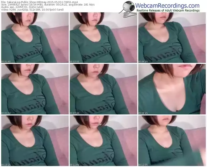 sakuralivejp-meimay-public-show-05_03_2015-17_06_51