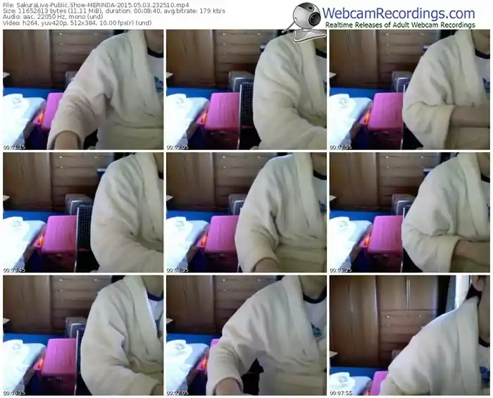 sakuralivejp-merinda-public-show-05_03_2015-23_25_10