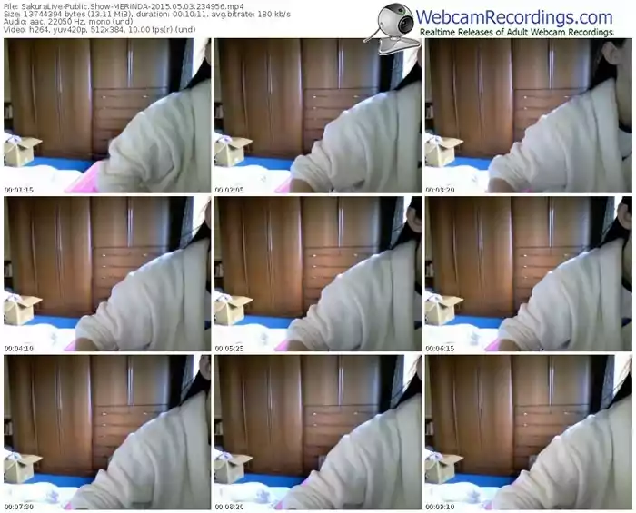 sakuralivejp-merinda-public-show-05_03_2015-23_49_56