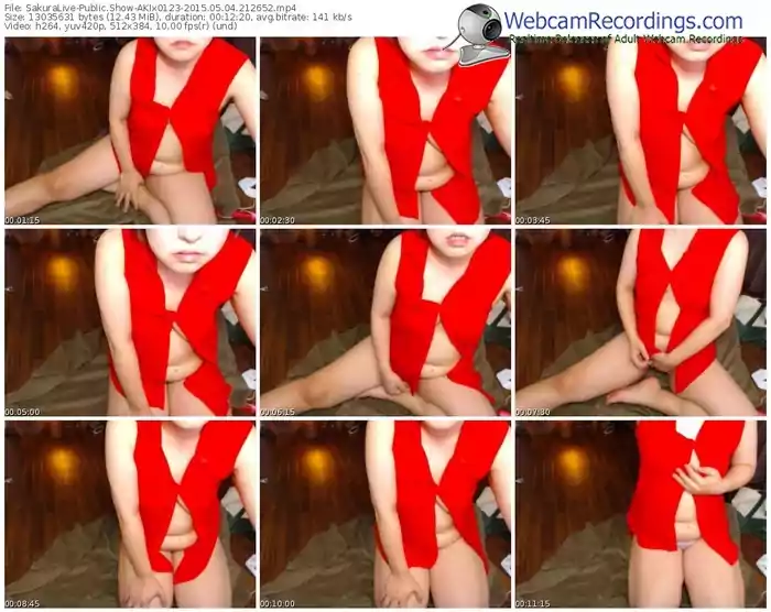 sakuralivejp-akix0123-public-show-05_04_2015-21_26_52
