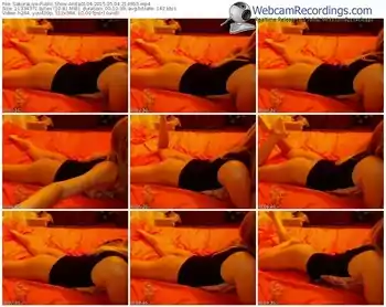 sakuralivejp-anita0104-public-show-05_04_2015-21_49_53