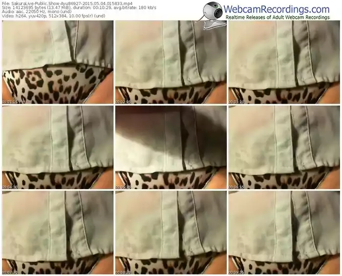 sakuralivejp-ayu86927-public-show-05_04_2015-01_58_33