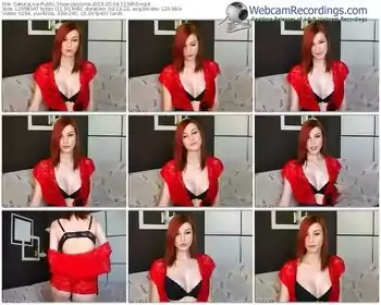 sakuralivejp-jazzlyne-public-show-05_04_2015-12_38_50