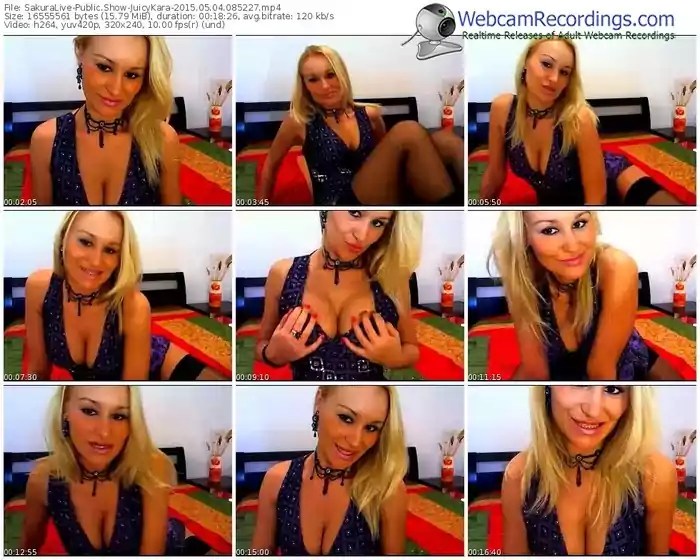 sakuralivejp-juicykara-public-show-05_04_2015-08_52_27