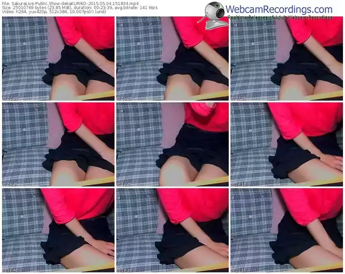 sakuralivejp-dekakuriko-public-show-05_04_2015-15_18_34