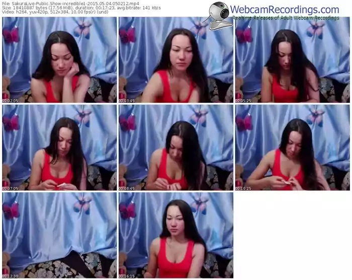 sakuralivejp-incredible1-public-show-05_04_2015-05_02_12