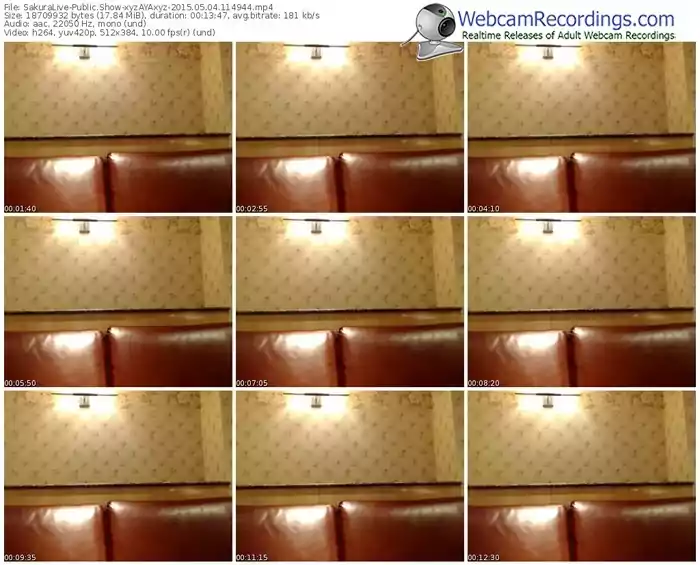 sakuralivejp-xyzayaxyz-public-show-05_04_2015-11_49_44