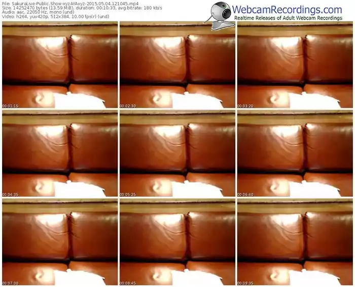 sakuralivejp-xyzayaxyz-public-show-05_04_2015-12_10_45