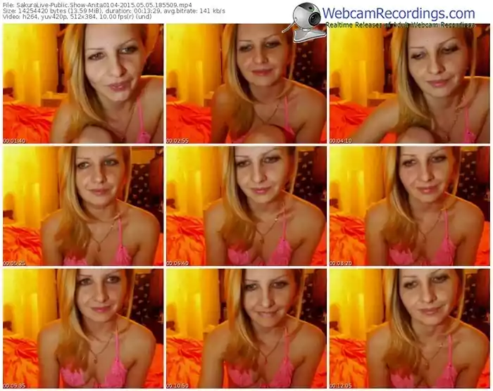 sakuralivejp-anita0104-public-show-05_05_2015-18_55_09