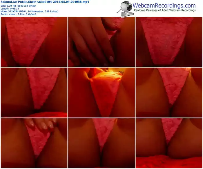 sakuralivejp-anita0104-public-show-05_05_2015-20_49_58