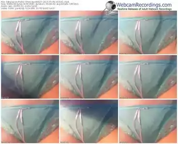 sakuralivejp-ayu86927-public-show-05_05_2015-19_31_41