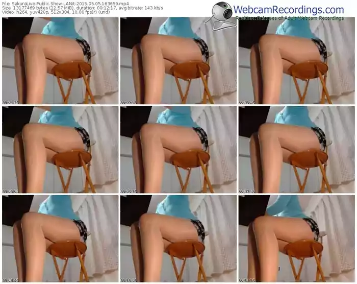 sakuralivejp-lanit-public-show-05_05_2015-16_36_59