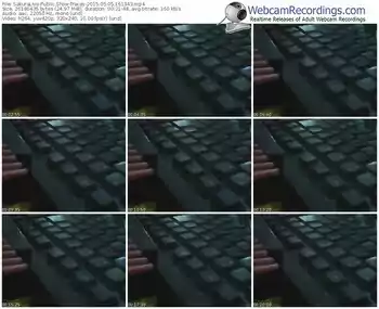 sakuralivejp-tracey-public-show-05_05_2015-16_13_43