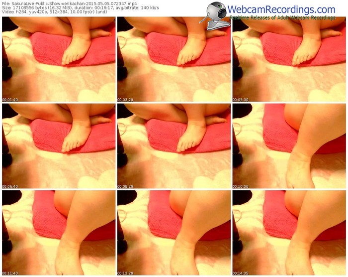 sakuralivejp-xerikachan-public-show-05_05_2015-07_23_47