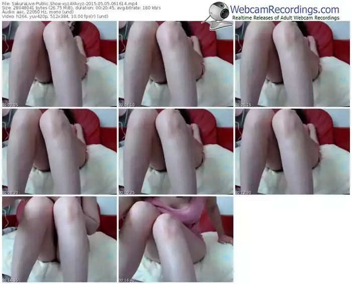 sakuralivejp-xyzayaxyz-public-show-05_05_2015-06_16_14