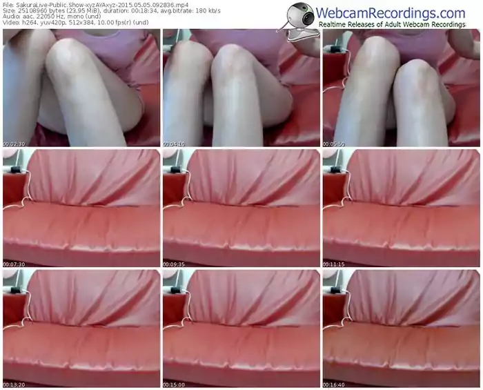 sakuralivejp-xyzayaxyz-public-show-05_05_2015-09_28_36